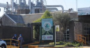 El balance de Vicentin bajo la lupa de los acreedores