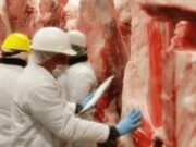 Qué dicen las proyecciones para la industria cárnica