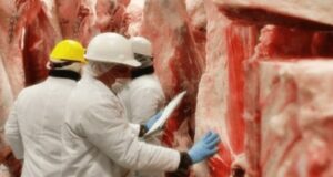 Qué dicen las proyecciones para la industria cárnica