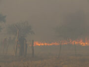 Unos 40 bomberos combaten un incendio entre Los Molles y Villa de la Quebrada
