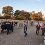 1ccccec2-f3c7-49de-9b68-42433a061ea2