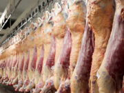 La exportación de carne vacuna cerrará el año en torno al millón de toneladas