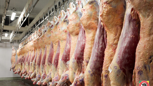 21 - 09 - carne vacuna en frigoríficos