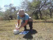 En bosques nativos los sistemas ganaderos emiten menos óxido nitroso