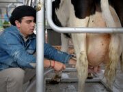 Agricultura y sector lechero coincidieron en potenciar el consumo interno y exportaciones
