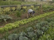 Presentan un proyecto que favorece el acceso a la tierra para la agricultura familiar