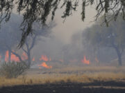 San Luis: seis focos de incendio continúan activos en la provincia