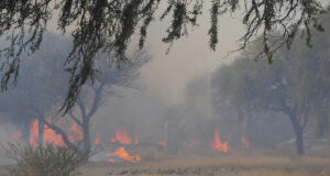 San Luis: seis focos de incendio continúan activos en la provincia