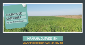 Cultivos de cobertura: este jueves llega la sexta capacitación virtual de producción agropecuaria
