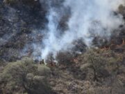 El jefe de Policía pidió a la comunidad que colabore para prevenir incendios