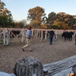 4e66e7a8-ada6-4ab3-ae07-65ebbd59dd9c