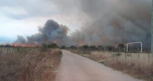 Combaten dos nuevos incendios en el norte de San Luis