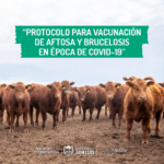 Protocolo-vacunación_01-1-630×630