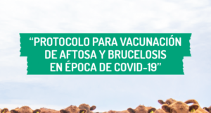 Este martes comienza la segunda etapa de vacunación contra la aftosa en San Luis