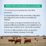 Protocolo-vacunación_02-630×630