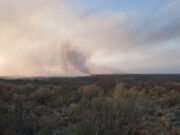 San Luis: controlaron cuatro focos de incendio y solo sigue activo uno en San Francisco