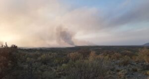 San Luis: controlaron cuatro focos de incendio y solo sigue activo uno en San Francisco