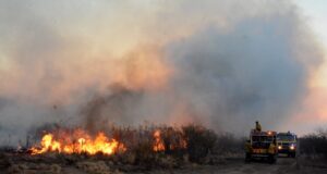 Controlaron cuatro incendios y aún combaten el de las Sierras Centrales de San Luis
