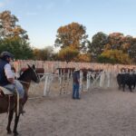 adb8125a-7c02-4d56-870a-3acae33f347f