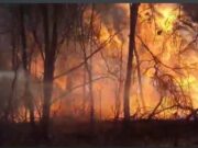 Dos incendios permanecen activos en San Luis y tres están controlados con guardias de cenizas