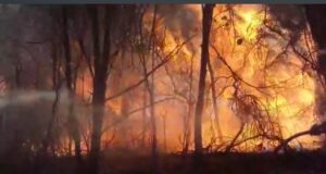 Dos incendios permanecen activos en San Luis y tres están controlados con guardias de cenizas