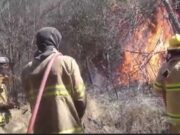Bomberos y brigadistas combaten las llamas en Cerros Largos