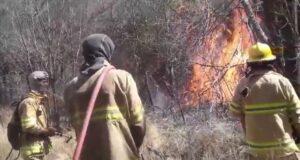 Bomberos y brigadistas combaten las llamas en Cerros Largos
