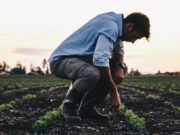 Abierto y gratuito: curso de gestión de empresas agropecuarias