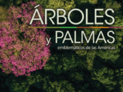 IICA y CATIE lanzan catálogo sobre árboles y palmas emblemáticas de las Américas