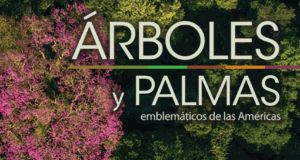 IICA y CATIE lanzan catálogo sobre árboles y palmas emblemáticas de las Américas