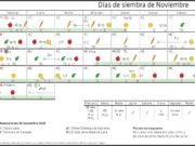 Calendario biodinámico para la siembra de Noviembre 2020