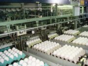 Basterra se reunió con autoridades de la Cámara Argentina de Productores Avícolas