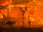 2020 el año del fuego