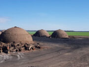 Desde Chaco salen 70 mil toneladas anuales de carbón vegetal para el mundo
