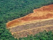La política verde de Europa traslada el daño ambiental a otras naciones
