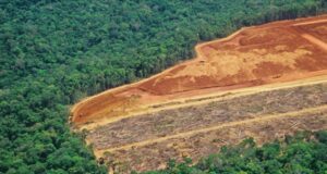 La política verde de Europa traslada el daño ambiental a otras naciones