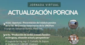 Jornada virtual de actualización porcina