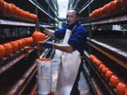 La lucha de una cooperativa láctea que cumple ocho años