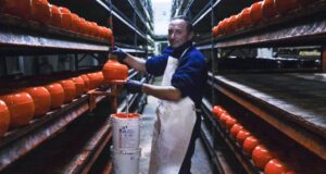 La lucha de una cooperativa láctea que cumple ocho años