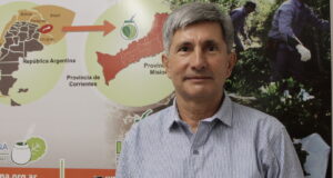 El INYM controlará la calidad de la yerba canchada importada