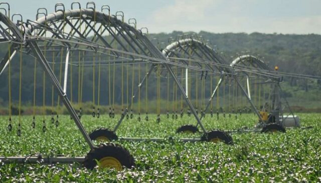 20 - 11 - agricultura industrial