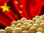 Las compras de commodities de China son récord a pesar de la pandemia
