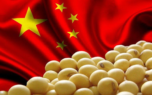 23 - 11 - commodities a china 4
