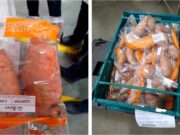 Con el aporte técnico del INTA, la batata formoseña llega al mercado inglés
