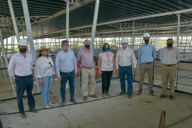 25 - 11 - mecado de cañuelas