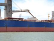 Reducción del 40% en las exportaciones de soja durante octubre