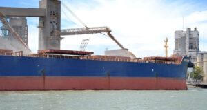Reducción del 40% en las exportaciones de soja durante octubre