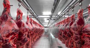 Estiman que se profundizará la caída de exportaciones de carne vacuna a Europa