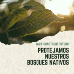Compra Loteos y Terrenos (400 x 400 px)