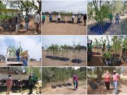 Finalizó la primera etapa del Plan de Activación Frutihortícola
